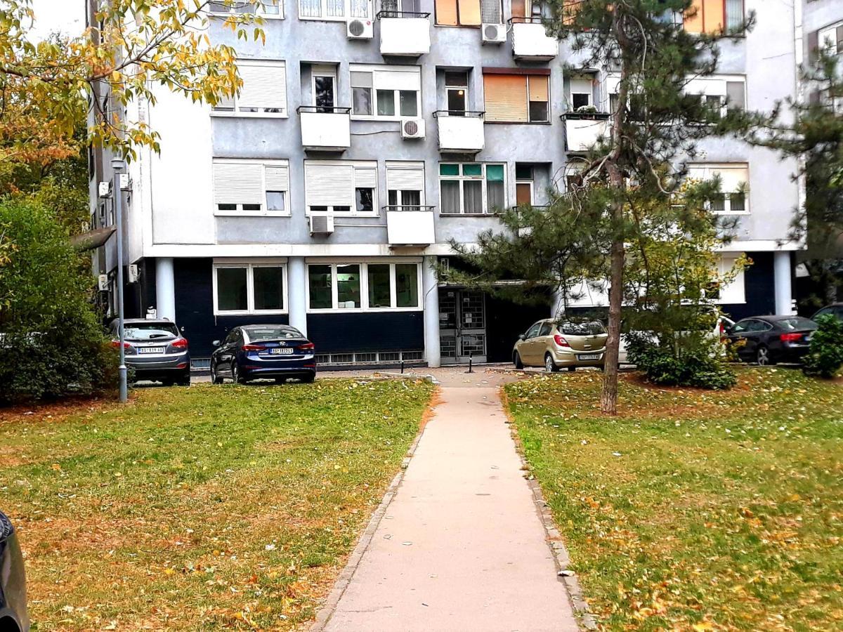 Apartment Vanilla Belgrad Dış mekan fotoğraf